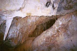 Disposable Camera Pic